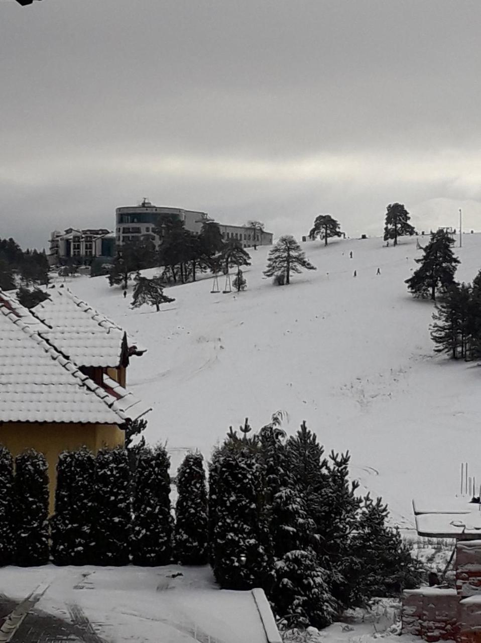 Hotel Apartman Gogi Zlatibor Zewnętrze zdjęcie